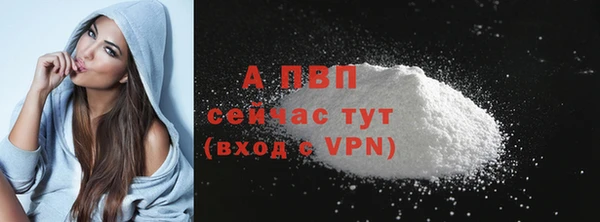 стафф Белокуриха