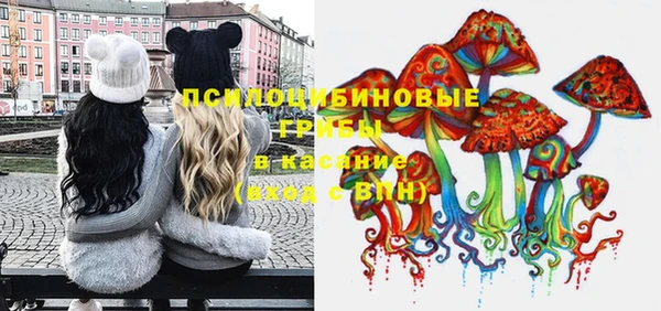 твердый Балахна