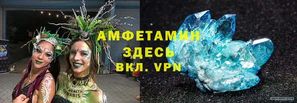 мдпв Ельня