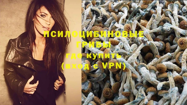 гидропоника Беломорск