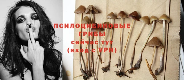 стафф Белокуриха