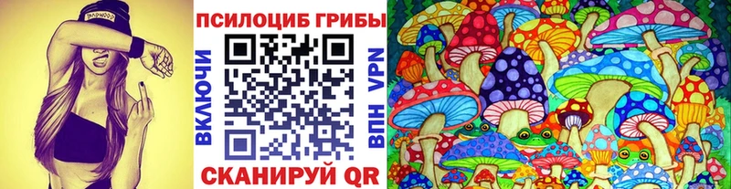 Галлюциногенные грибы Psilocybe  как найти закладки  Вихоревка 